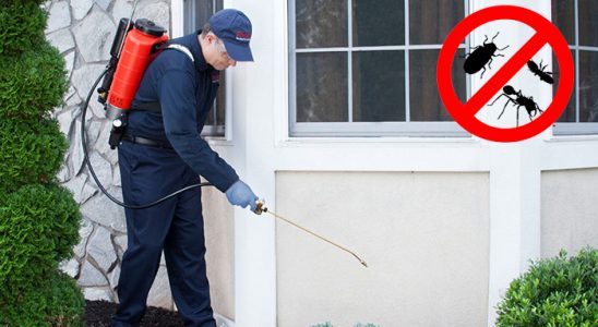 Çelebi Kemirgen İlaçlama böcek ilaçlama ve haşere kontrolü — ilaclama-tr.com